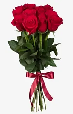 11 Red Roses