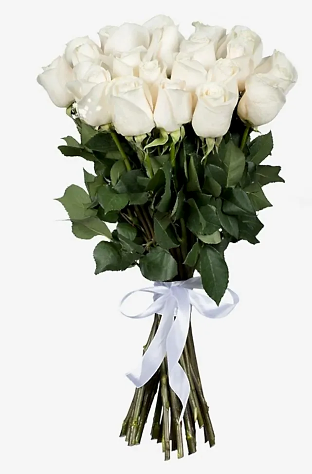 White Roses
