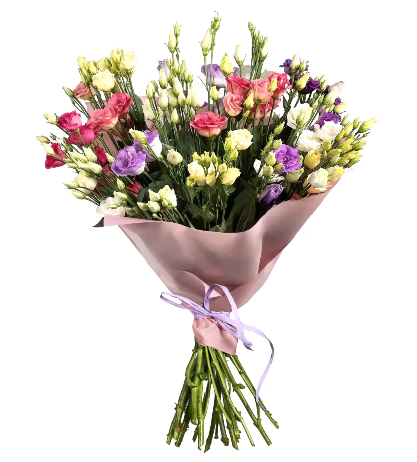 Göz Alıcı Eustoma