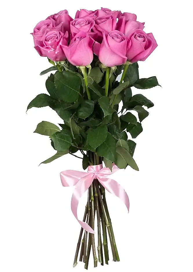 Pink Roses Premium